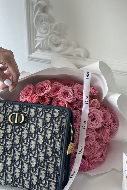 Dior brand bag