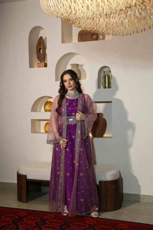 بشت التول ( ارجواني)